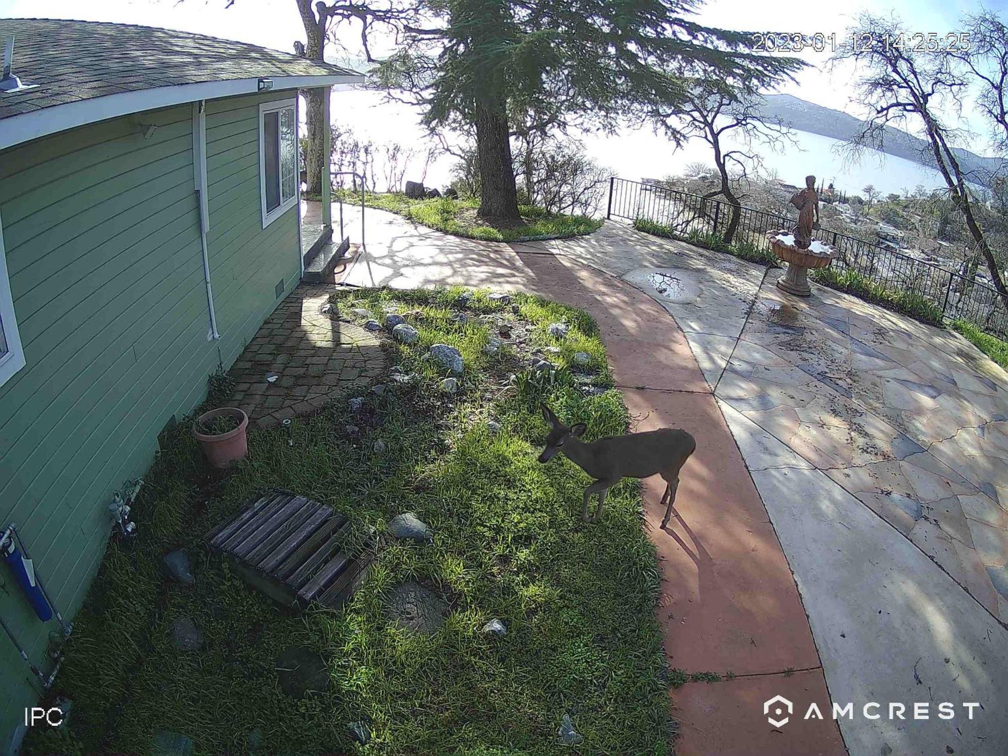 A Lake, A Mountain And The House With The Red Door Clearlake Luaran gambar